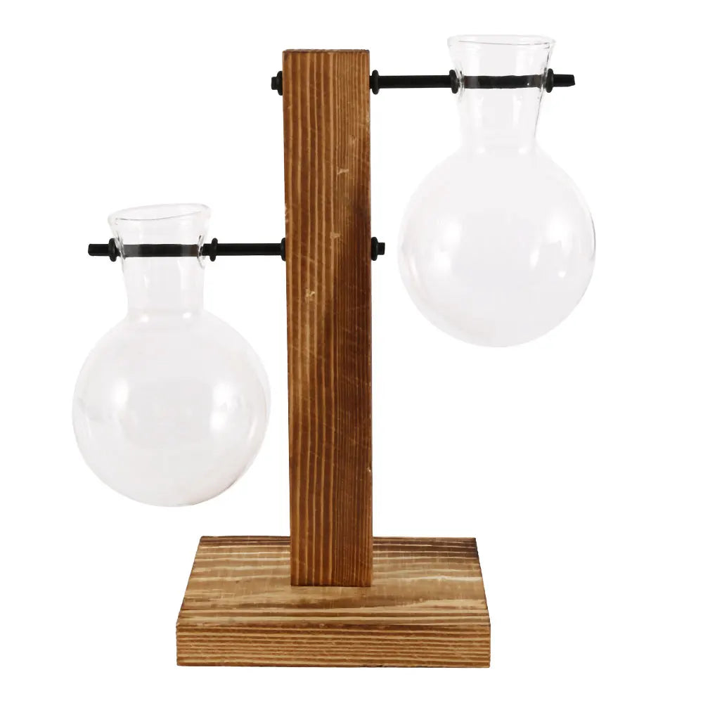Glass Bulb Planter with Wooden Stand