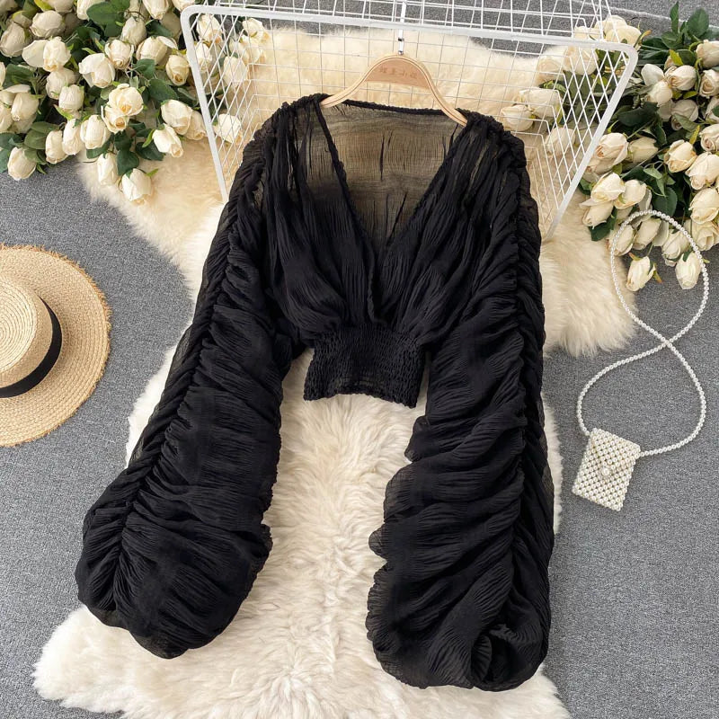 Sheer V-Neck Blouse with Statement Sleeves