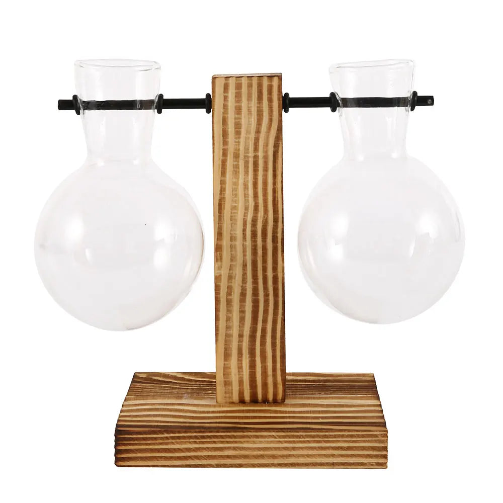 Glass Bulb Planter with Wooden Stand