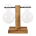 Glass Bulb Planter with Wooden Stand