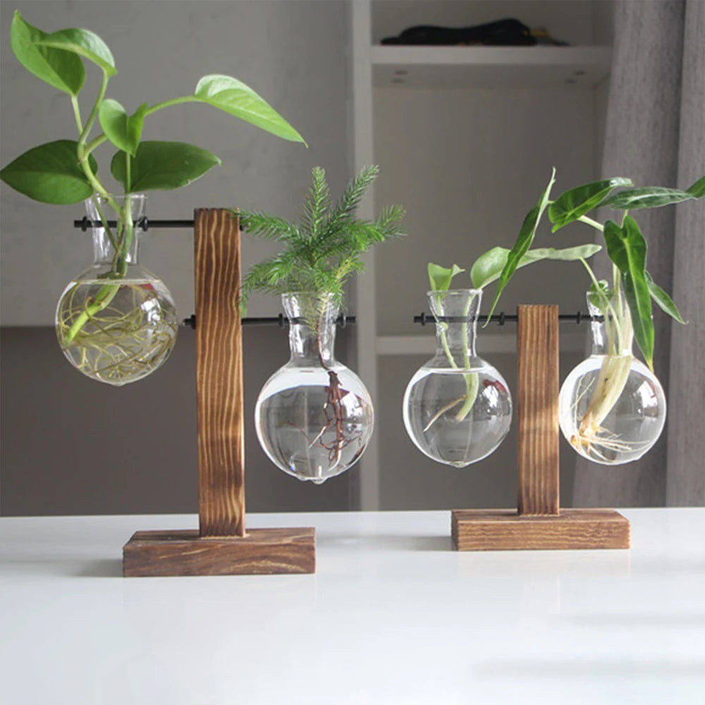 Glass Bulb Planter with Wooden Stand